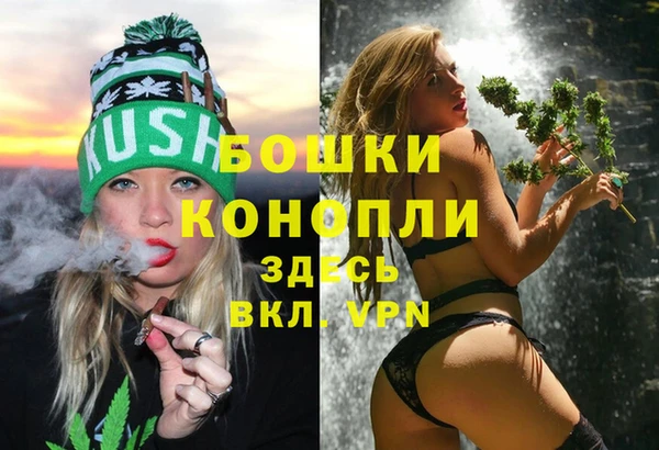 прущие крисы Дмитриев