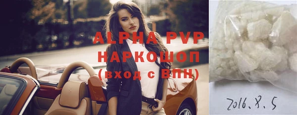 молекула духа Михайлов