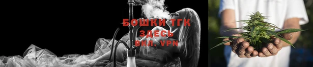 ПСИЛОЦИБИНОВЫЕ ГРИБЫ Дмитров