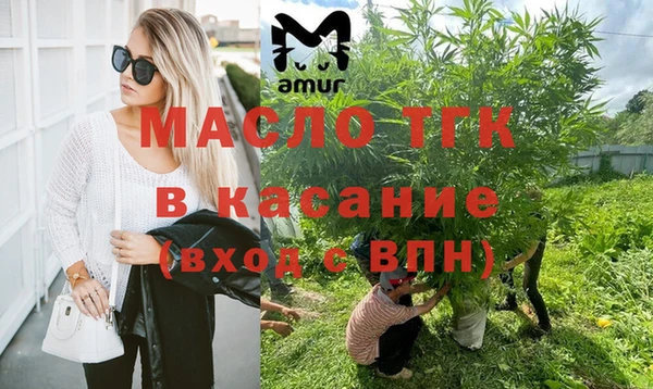 молекула духа Михайлов