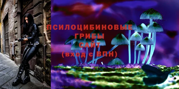 прущие крисы Дмитриев