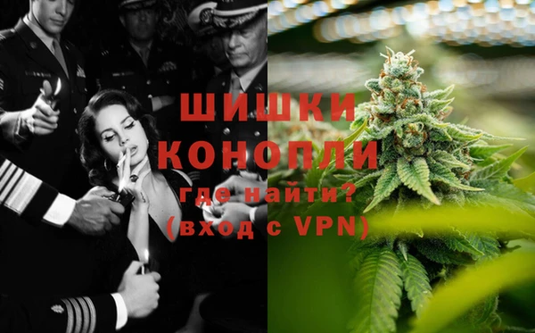 ПСИЛОЦИБИНОВЫЕ ГРИБЫ Дмитров
