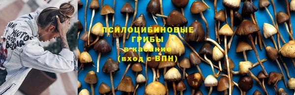 спайс Майский
