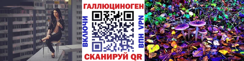 Галлюциногенные грибы GOLDEN TEACHER  цена   Окуловка 